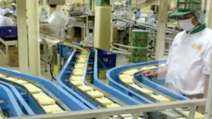 ICBP Putuskan Pembagian Dividen Rp265 Per Saham pada 28 Juli 2026