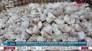 Nilai Tukar Dolar Dorong Kenaikan Harga Bawang Putih di Beringharjo
