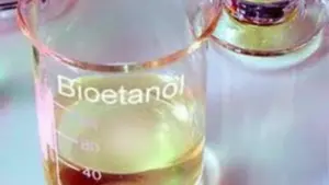 Soroti Bioetanol Sebagai Mesin Baru Pertumbuhan Ekonomi, Kadin: “Bukan Sekadar Bahan Bakar”