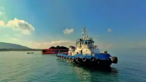 Menimbang Ulang Harga DMO: Antara Keekonomian Tambang dan Keandalan Pasokan Listrik