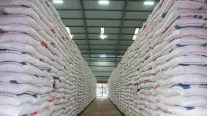 Pemerintah Perintahkan Bulog Banjiri Pasar dan Kajian Subsidi Ongkos Angkut untuk Stabilkan Harga Beras