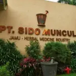 Soroti Nego Saham Sido Muncul, Transaksi Rp3,4 Miliar Catat Volume Besar
